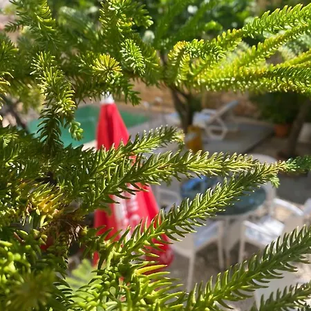 Kaleici Szálloda Antalya
